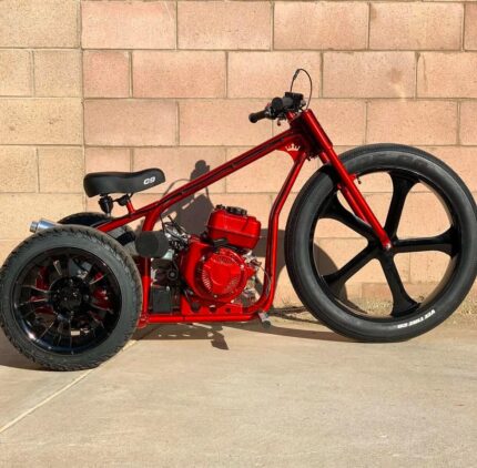Mini Electric trike
